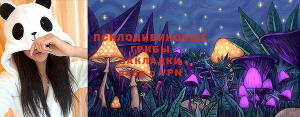 гидра Алзамай