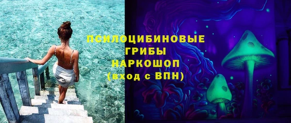 СК Алексин