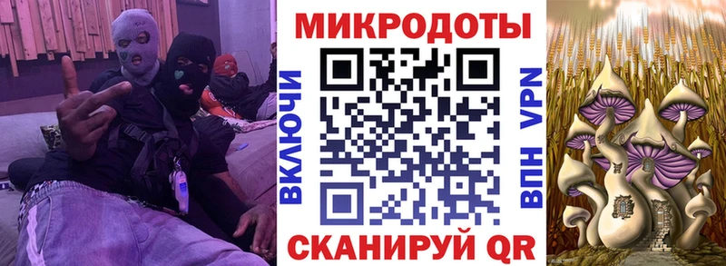 Псилоцибиновые грибы Cubensis как найти закладки Таштагол