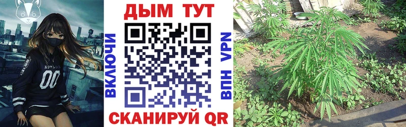 МАРИХУАНА Amnesia  Таштагол 